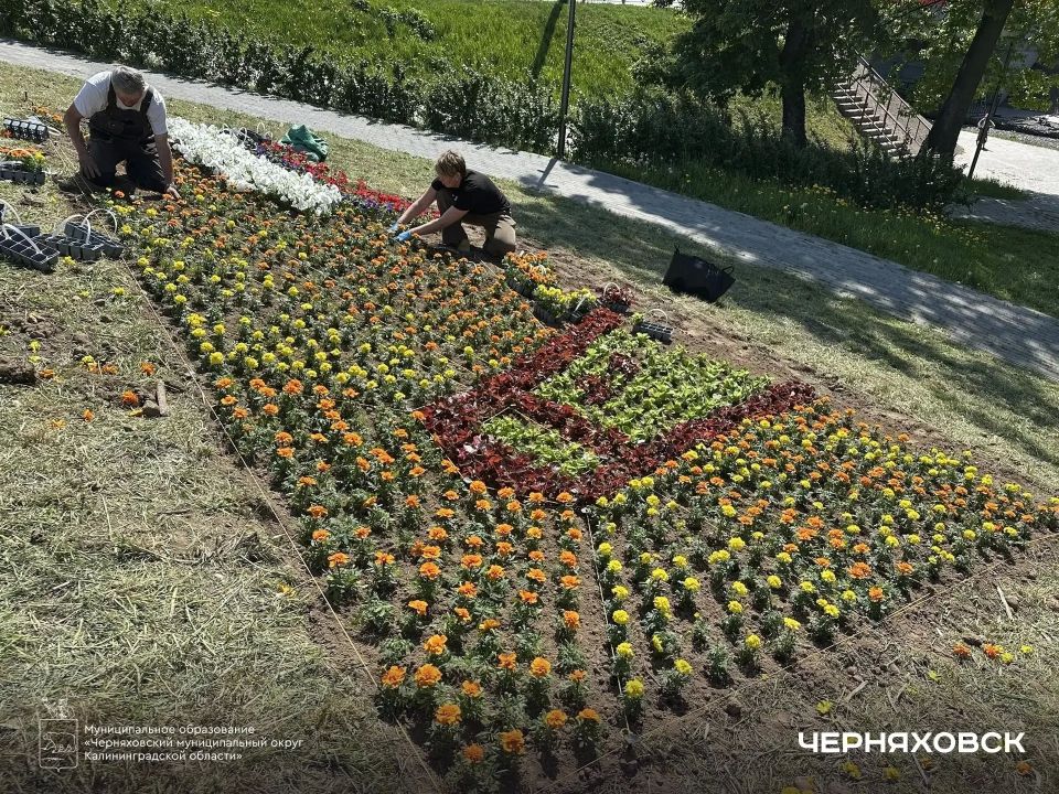 В парке «Городская долина» появилась цветочная композиция в честь 80-летия Калининградской области В парке «Городская долина» появилась цветочная композиция в честь 80-летия Калининградской области