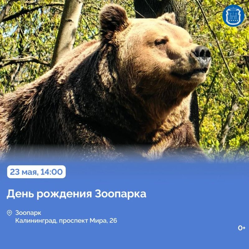 С 24 мая в регионе пройдёт Всероссийская неделя семьи С 24 мая в регионе пройдёт Всероссийская неделя семьи