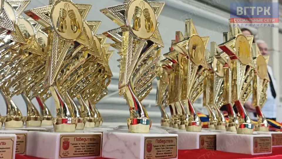 В Гусеве стартовал турнир по боксу памяти Героя Советского Союза Сергея Гусева В Гусеве стартовал турнир по боксу памяти Героя Советского Союза Сергея Гусева
