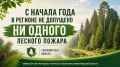 В регионе с начала года не допущено ни одного лесного пожара