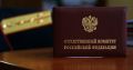 Мать не защитила сына: СК проверяет обстоятельства инцидента в Мамоново, где избили 12-летнего мальчика