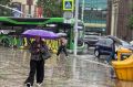 В Калининградской области ожидаются сильные дожди, грозы и град