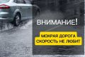 В Калининградской области синоптики прогнозируют дожди