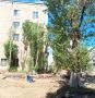 В Калининграде деревья не пережили встречу с подрядчиком, ремонтирующим дорогу на Полоцкой