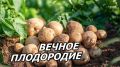 ����������� ������� ��������� ����������� ��������� �� ����� �������