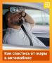 Всего 20 минут под солнцем в жаркий день — и салон автомобиля раскаляется до +50 °C. Такие условия — серьёзное испытание для водителя