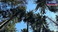 В конце июня Калининградскую область ждет комфортное тепло благодаря смене тропического воздуха на умеренную воздушную массу с Северного моря