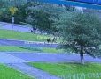 В Калининграде пьяный водитель наехал на женщину с двумя детьми которые находились на тротуаре