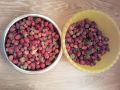 ������������ �� ���������� ���������: ����������� �������� �������