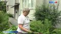 Жительница Калининграда, которая спасла выпавшего из окна ребенка, получит премию имени Тиграна Кеосаяна