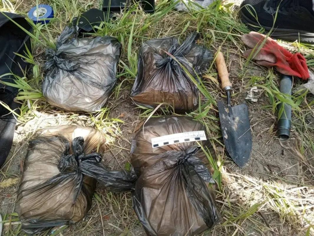 В период с 29 июня по 3 июля проведена субрегиональная антинаркотическая операция «Канал-Янтарный берег» В период с 29 июня по 3 июля проведена субрегиональная антинаркотическая операция «Канал-Янтарный берег»