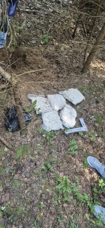 В период с 29 июня по 3 июля проведена субрегиональная антинаркотическая операция «Канал-Янтарный берег» В период с 29 июня по 3 июля проведена субрегиональная антинаркотическая операция «Канал-Янтарный берег»