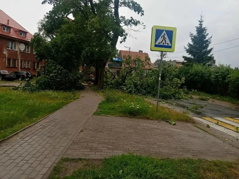 Шторм «Бернадетт» нарушил движение транспорта и закрыл музеи