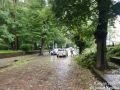В Калининграде упало уже больше 20 деревьев