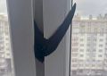 Ураган швыряет в окна жителей Калининграда птиц