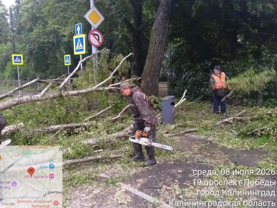 Поваленные деревья, битые машины и дома без света: в Калининградской области бушует шторм «Бернадетт» Поваленные деревья, битые машины и дома без света: в Калининградской области бушует шторм «Бернадетт»