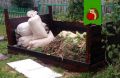 Городской садовод: когда желание помочь природе становится проблемой