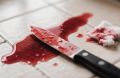 В Калининграде сестра вырвала брата из кровавой мясорубки