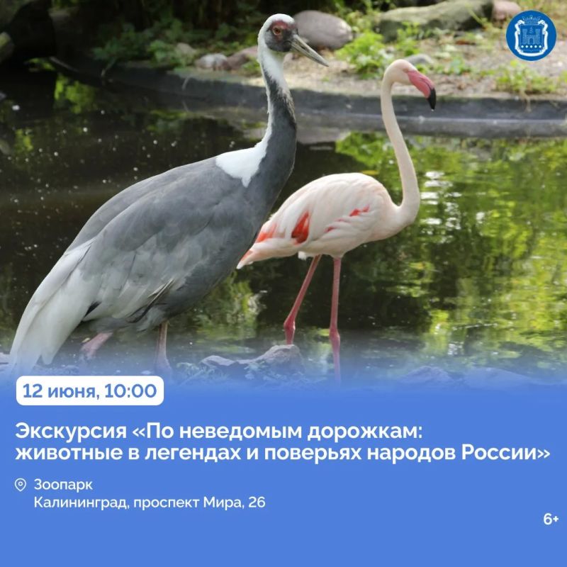 11 июля Пионерский, Светлый и Полесск отметят День города и День рыбака 11 июля Пионерский, Светлый и Полесск отметят День города и День рыбака
