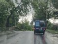 На 3-й день после урагана в нескольких посёлках нет света