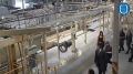 В индустриальном парке «Данор» в посёлке Луговое Гурьевского округа начали строить новый завод компании «КЛД»