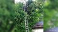 Прошедшая рабочая неделя в жизни чрезвычайного ведомства:
