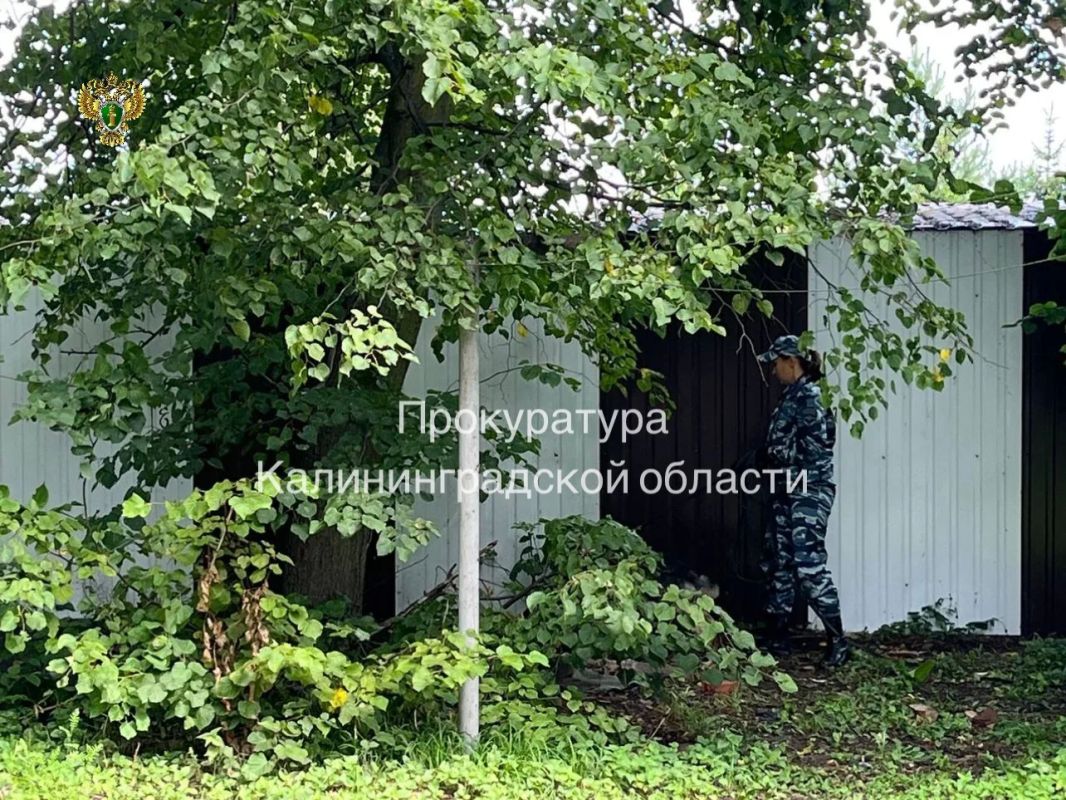 Прокуратура направила в суд уголовное дело об убийстве новорожденного ребенка