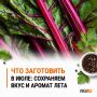 Что заготовить в июле: сохраняем вкус и аромат лета