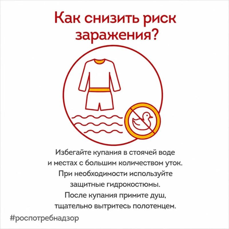 Роспотребнадзор предупреждает о рисках заражения церкариальным дерматитом (зуд купальщика), вызванным личинками шистосомы Роспотребнадзор предупреждает о рисках заражения церкариальным дерматитом (зуд купальщика), вызванным личинками шистосомы