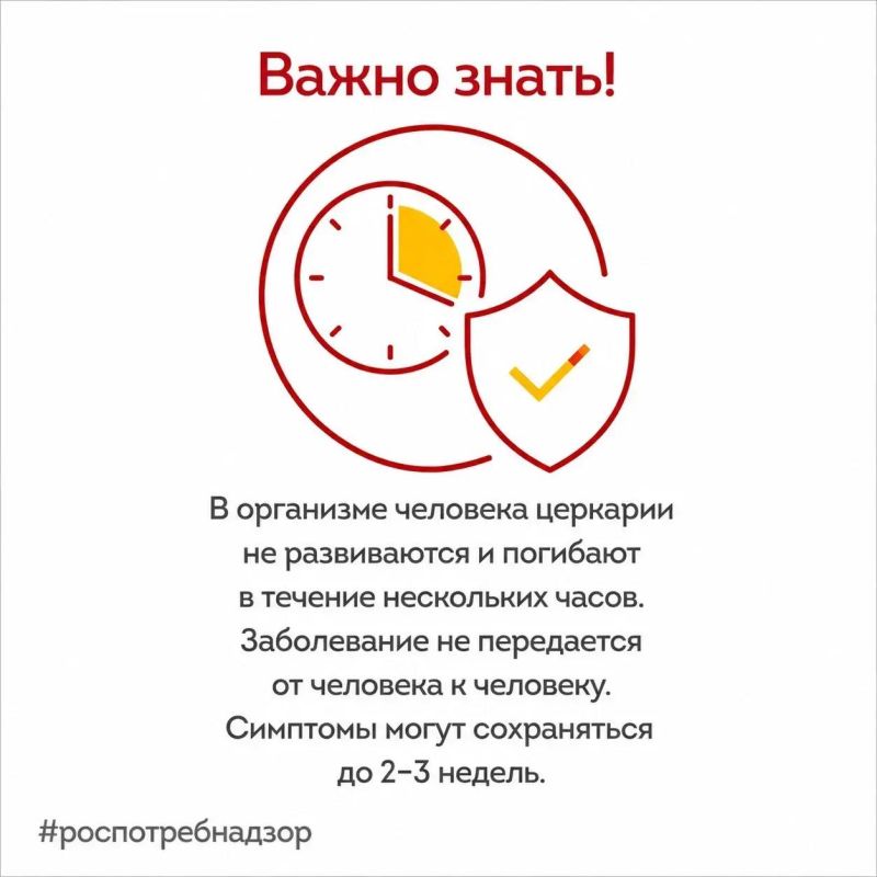 Роспотребнадзор предупреждает о рисках заражения церкариальным дерматитом (зуд купальщика), вызванным личинками шистосомы Роспотребнадзор предупреждает о рисках заражения церкариальным дерматитом (зуд купальщика), вызванным личинками шистосомы