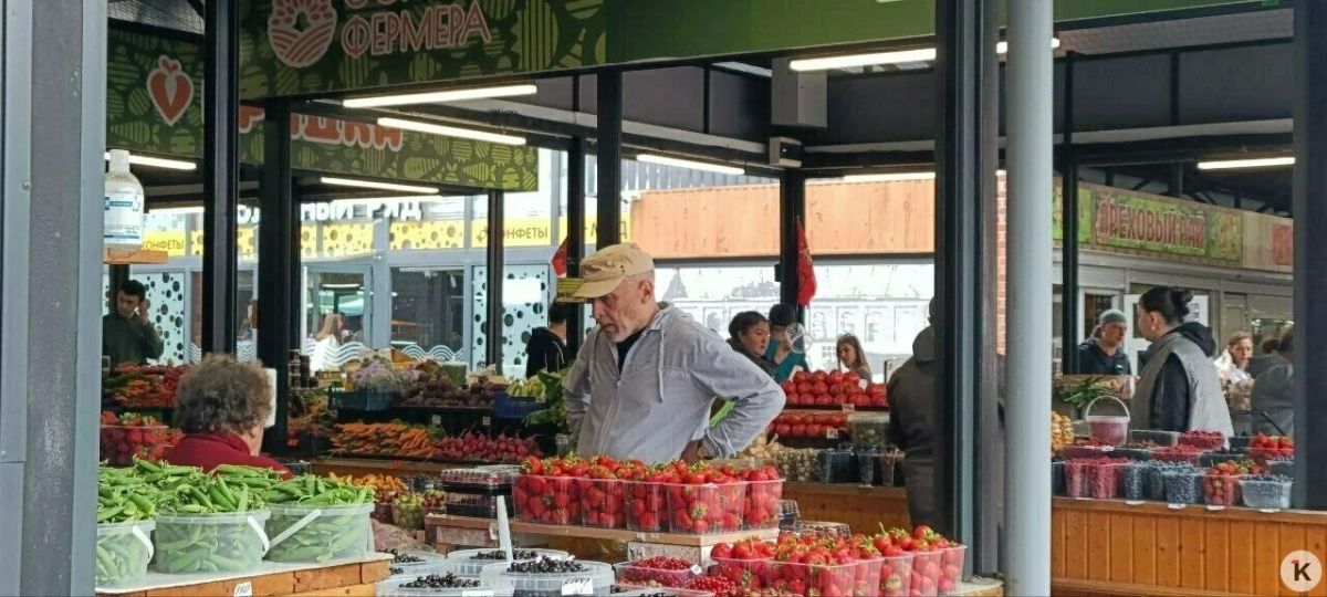 В Калининграде начался ягодный сезон: что продают и сколько стоит В Калининграде начался ягодный сезон: что продают и сколько стоит