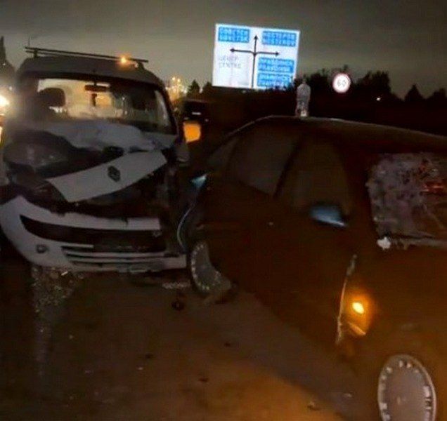 На окружной Калининграда лось совершил смертельный пробег