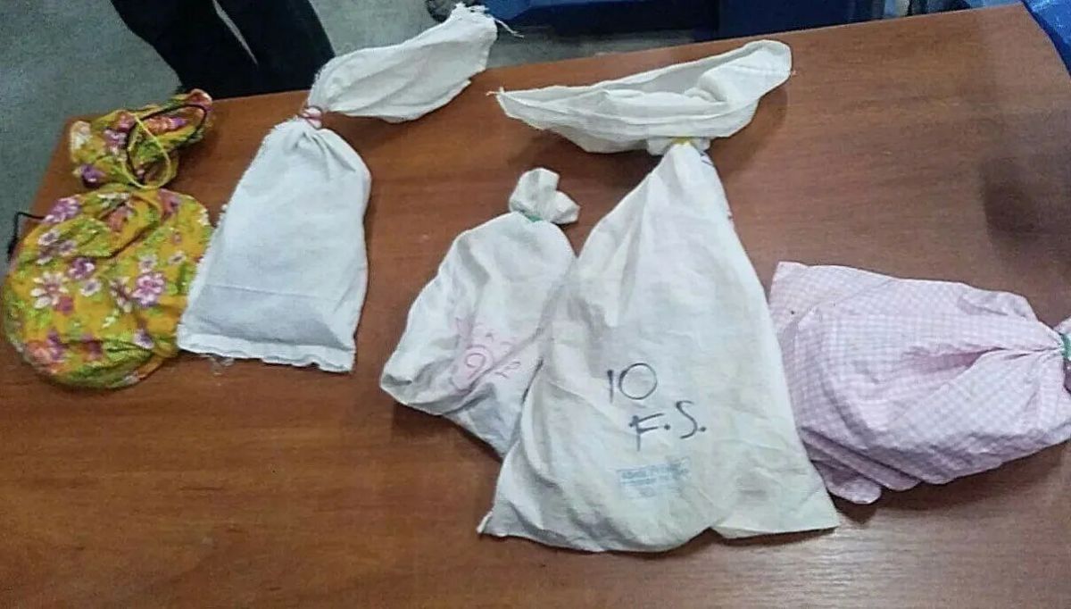 В Польшу из Калининграда пытались вывезти 37 редких ящериц В Польшу из Калининграда пытались вывезти 37 редких ящериц