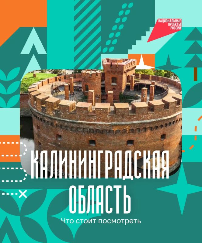 Янтарь, дюны и коты — всё это ждёт путешественников в Калининградской области