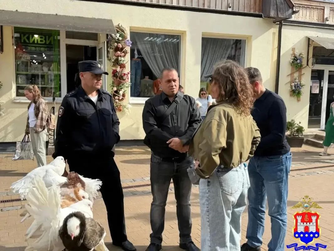 Полиция забрала декоративных голубей у уличного фотографа в Светлогорске