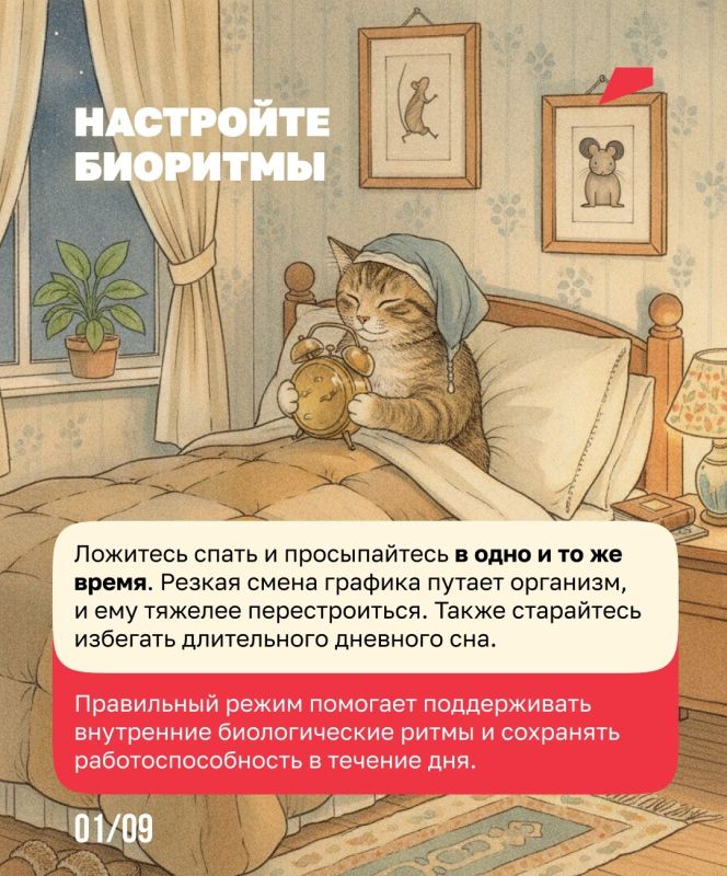 Сон как лучшее лекарство от стресса Сон как лучшее лекарство от стресса