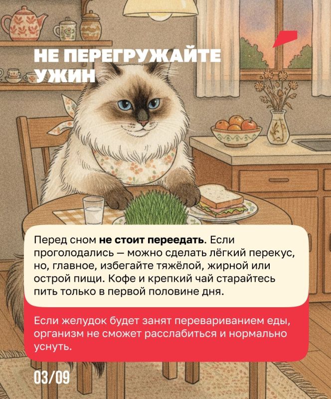 Сон как лучшее лекарство от стресса Сон как лучшее лекарство от стресса