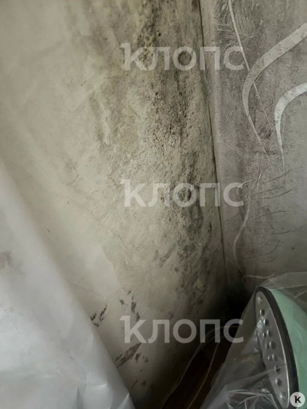 Пятиэтажку на Балтийском шоссе заливает дождём, а в подвале завелись блохи Пятиэтажку на Балтийском шоссе заливает дождём, а в подвале завелись блохи
