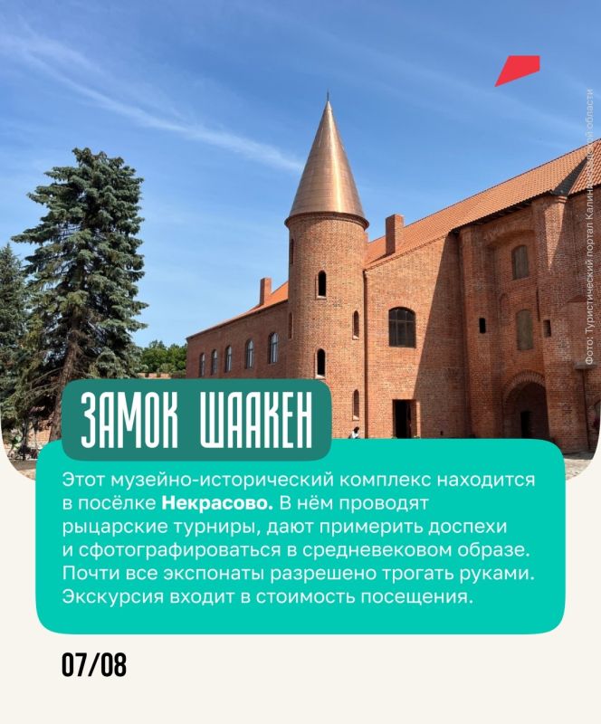 Янтарь, дюны и коты — всё это ждёт путешественников в Калининградской области Янтарь, дюны и коты — всё это ждёт путешественников в Калининградской области