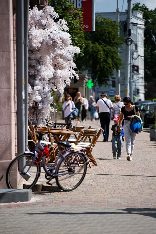 Летний Калининград в объективе «Клопс» Летний Калининград в объективе «Клопс»