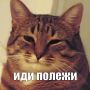 ������� ���������� ���� ������� ����