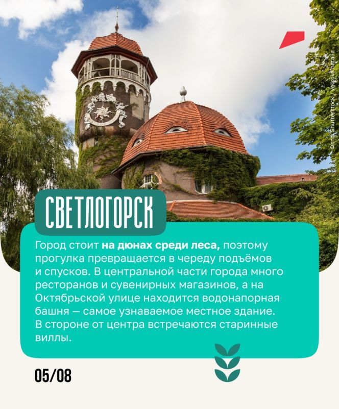 Янтарь, дюны и коты — всё это ждёт путешественников в Калининградской области Янтарь, дюны и коты — всё это ждёт путешественников в Калининградской области