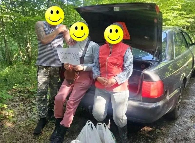 Пропавшие грибники собрали самые дорогие лисички у Виштынца
