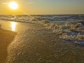 Дрифтвуд: жемчужина морского берега и новый бизнес без вложений