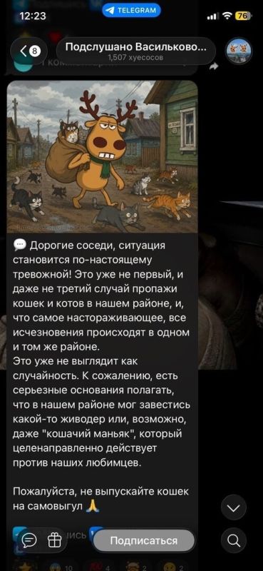 В посёлках Малое Исаково и Васильково таинственно исчезли больше десяти домашних котов