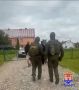 � ��������� ������ ����������� ��������� ������������� � ��������� ��������� �� �������� ������