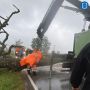 В регионе продолжают устранять последствия шторма.
