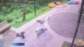 � ������������ ��������� ���������� � ��������� �����, ������������ � ���� ���