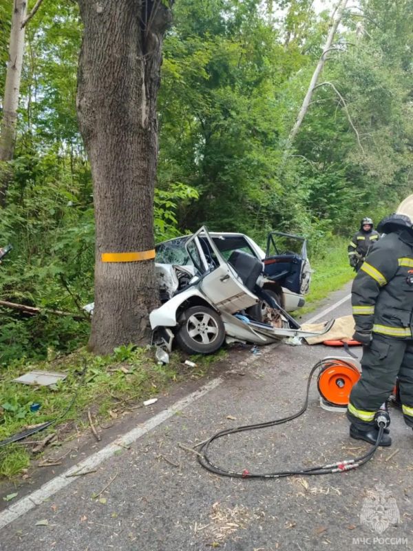 Водителя, попавшего в ДТП на трассе Калининград — Балтийск, пришлось вызволять из машины спасателям Водителя, попавшего в ДТП на трассе Калининград — Балтийск, пришлось вызволять из машины спасателям