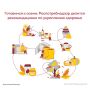 Смена сезона, дефицит солнца и возвращение в коллективы повышают нагрузку на организм, увеличивая риск инфекций